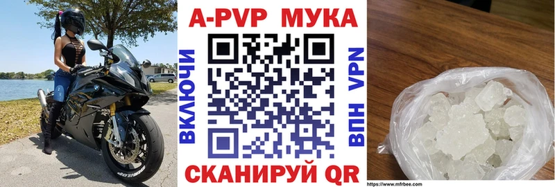 Alfa_PVP СК КРИС  Армавир 