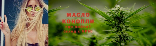 2c-b Горняк
