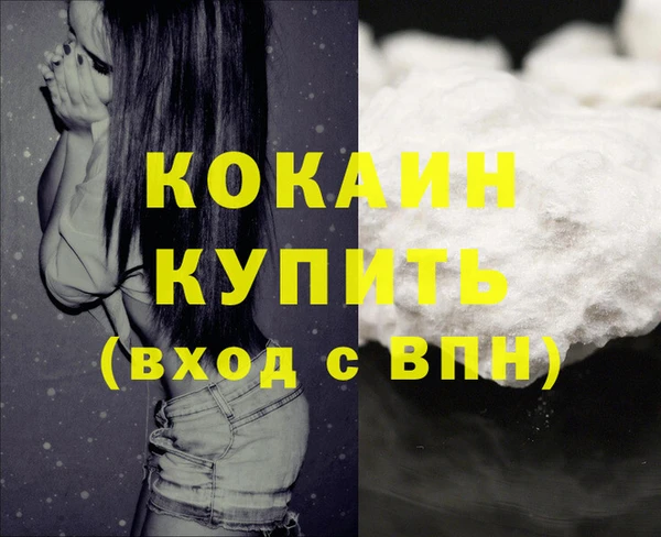 шишки Балахна